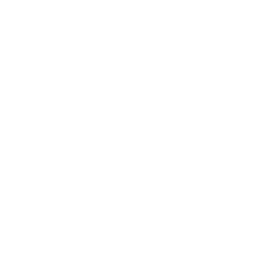 LinkIcon
